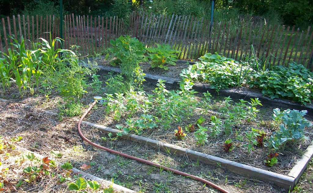 Spring Planting Calendar: What to Plant and When