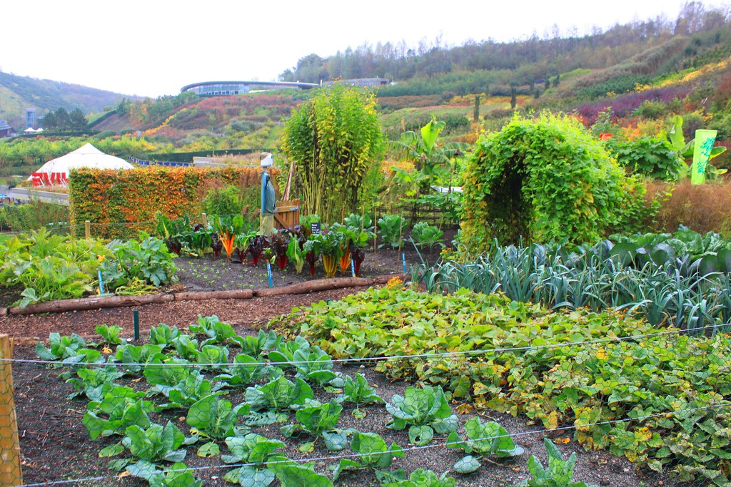 Extending Your Growing Season with Cold Frames & Row Covers