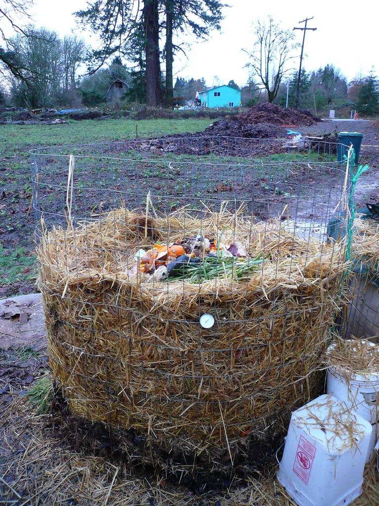 How to Brew Compost Tea: A Step-by-Step Guide