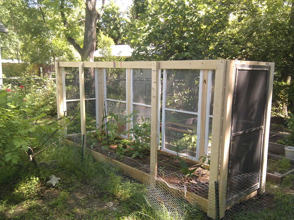 Why Your Tomatoes Aren’t Ripening (And How to Fix It)