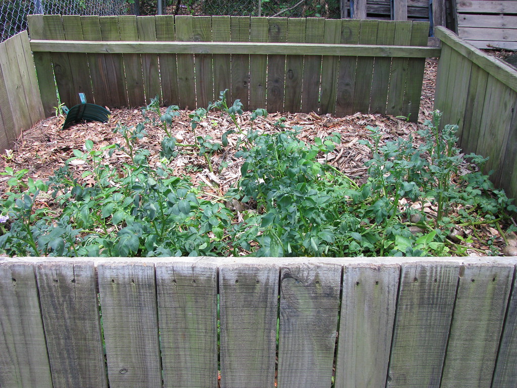 How to Compost in an Apartment Without Odors (A Beginner’s Guide)