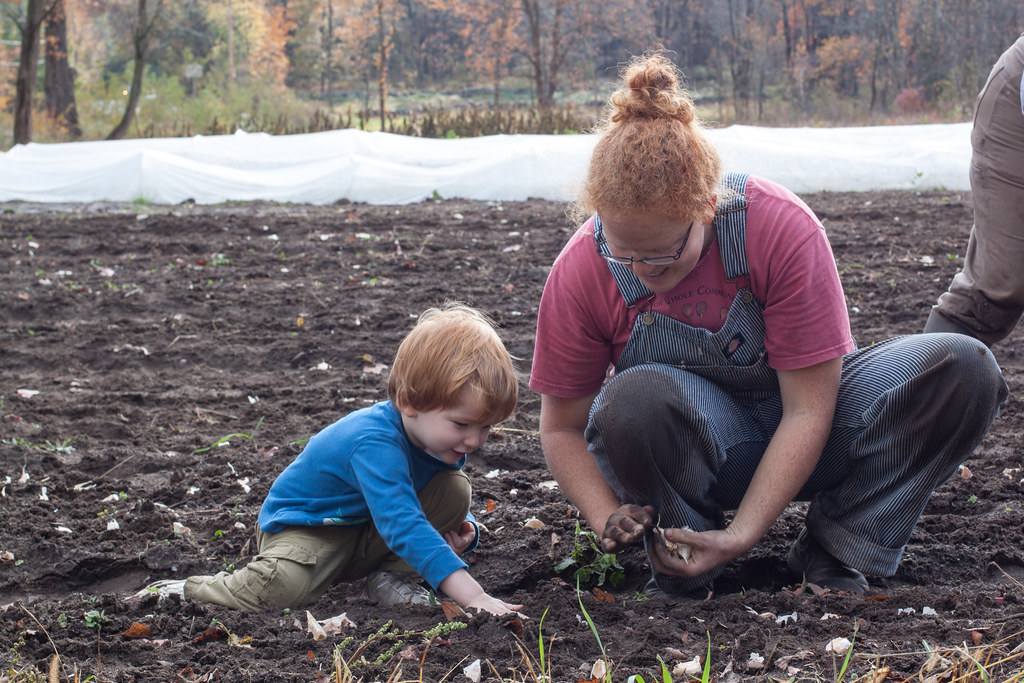 How to Prevent and Treat Garlic Rust Disease Organically