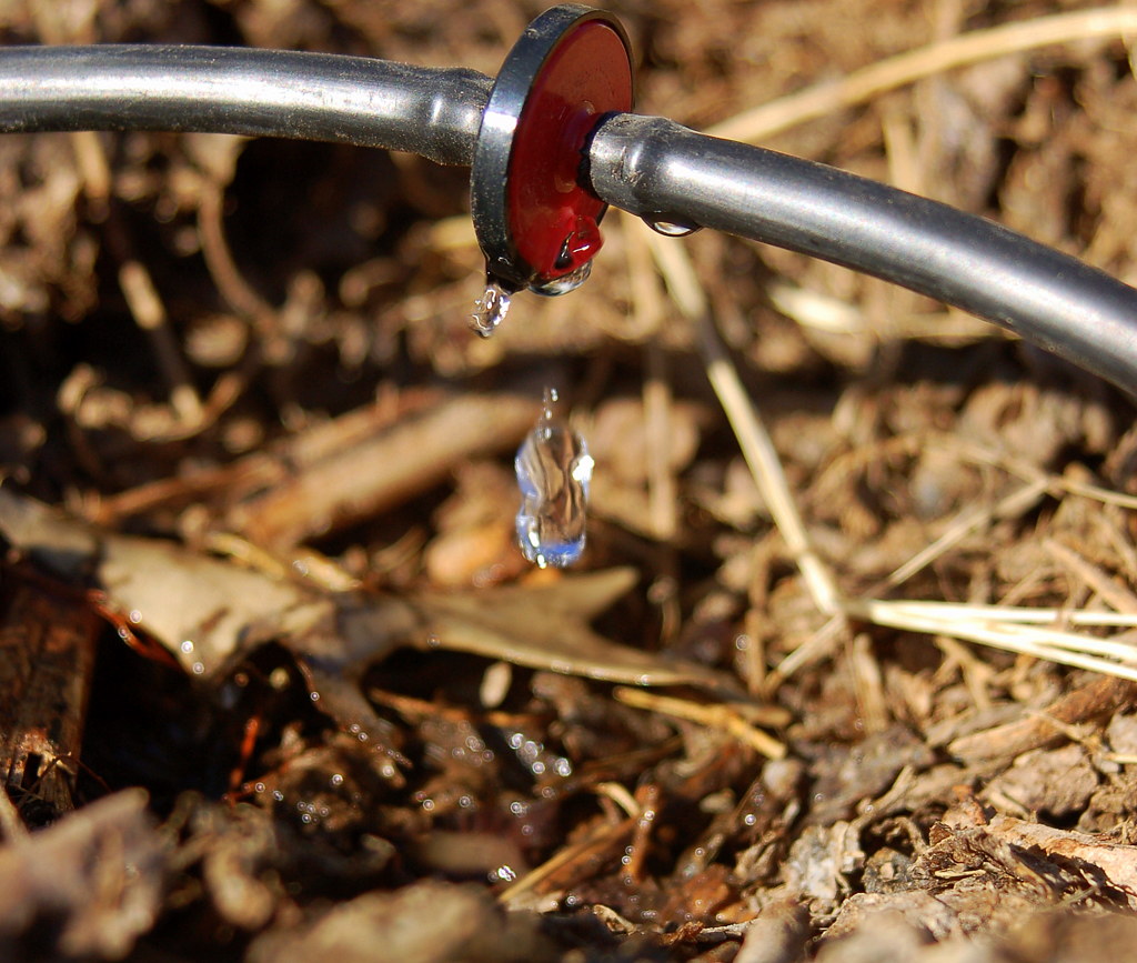 The Complete Guide to Installing Drip Irrigation for Raised Garden Beds