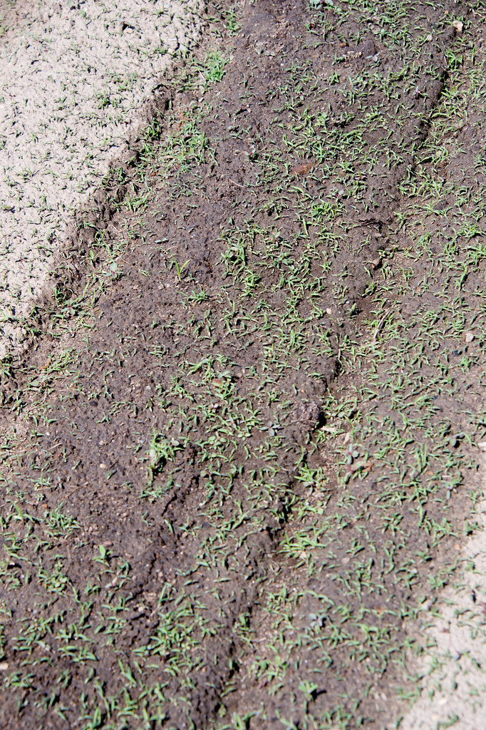 How to Choose and Use a Flame Weeder Safely in Vegetable Beds